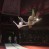 Acrobats on Air Track Artist – 0236